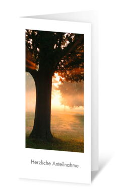Illustration einer hochformatigen Trauerkarte mit einem Baum im Sonnengegenlicht