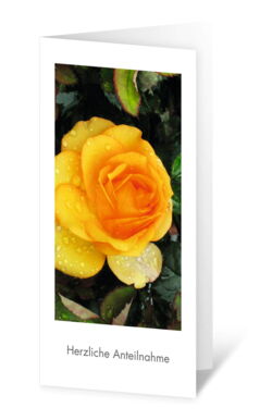 Illustration einer hochformatigen Trauerkarte mit einer gelben Rose